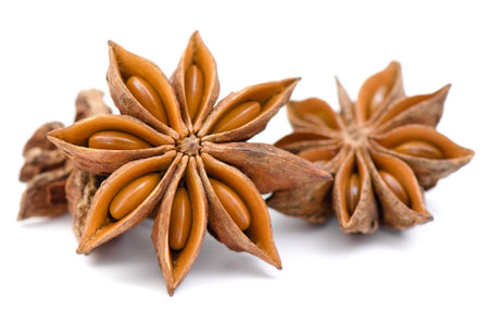 Bright spices aniseの写真素材
