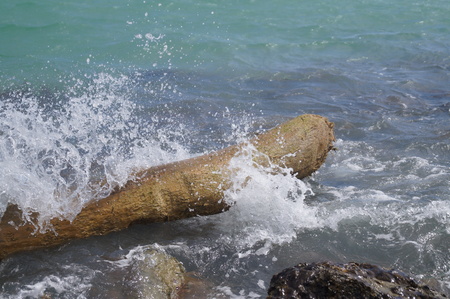 Strength of the seaの写真素材