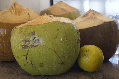 Coconuts and organgeの写真素材