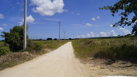 Access road from a Sugar Cane plantation on the Dominican Republicの写真素材
