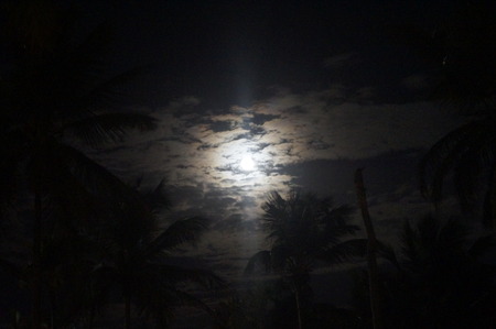 moon behind the clouds on a summer nightの写真素材