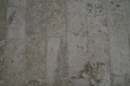 Coral stone texture and backgroundの写真素材