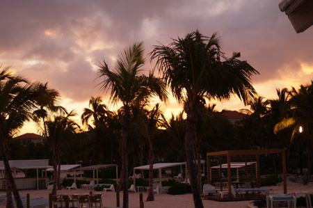 sunset behind the coconut treesの写真素材