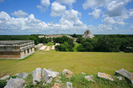 Mayan pyramid in the jungleの写真素材