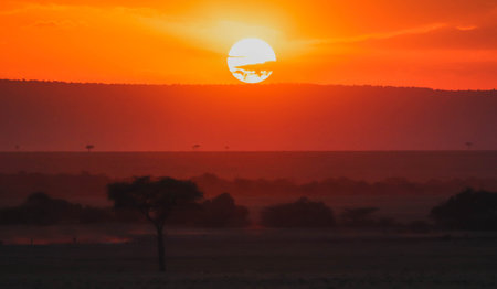 Sunset in Africa with enormous sun. Savanna view with silhouette of flora and faunaの写真素材