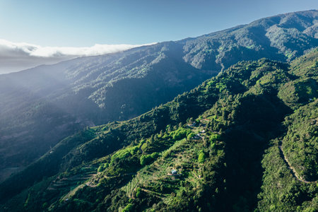 Aerial view of savage landscape of forest and mountains with houses insideの写真素材