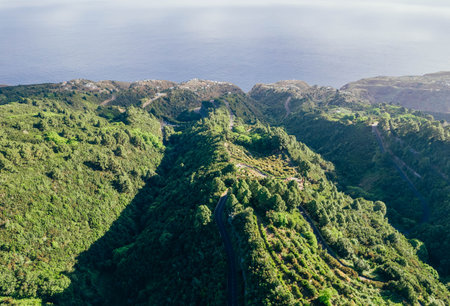 Aerial view of savage landscape of forest and mountains with roads near the coastの写真素材