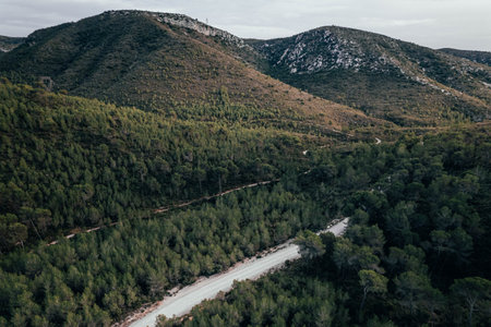 Aerial view of savage road in the middle of the green forest and mountains rounded by natureの写真素材