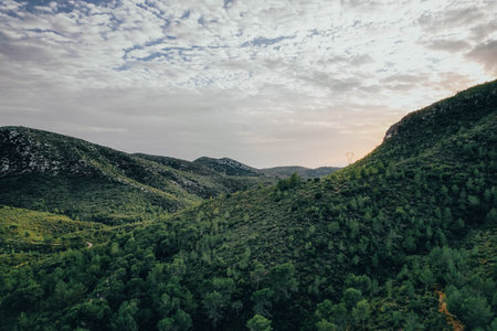 Aerial view of savage road in the middle of the forest and mountains rounded by green natureの写真素材