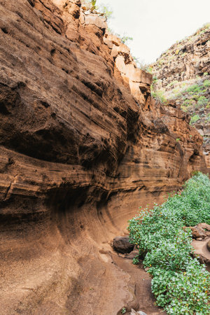 Texture of canyon of Barranco de las Vacas in Gran Canariaの写真素材
