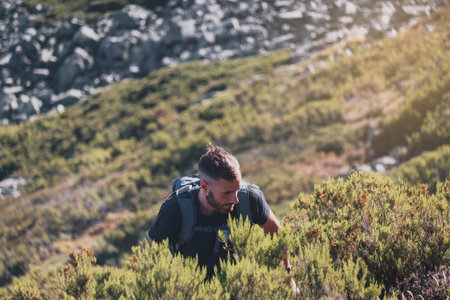 Young man hiking the mountain through the foliage