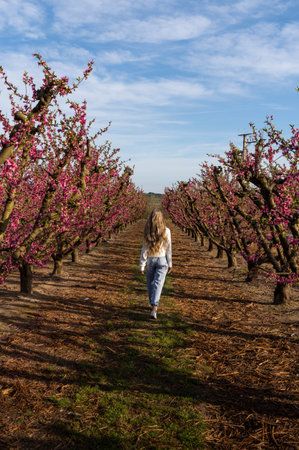 Rear view of blonde woman walking in a field of pink flowers in Aitona in springの写真素材