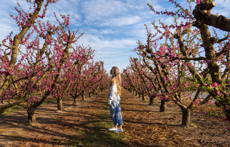 Blonde woman walking in a field of pink flowers in Aitona in springの写真素材