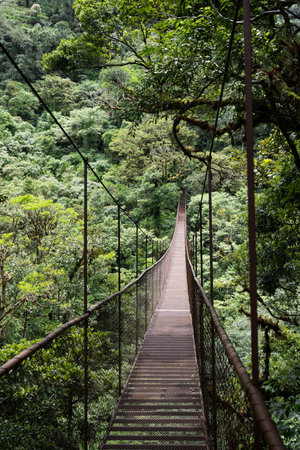Crossing suspension bridge deep inside rain forest in Panamaの写真素材
