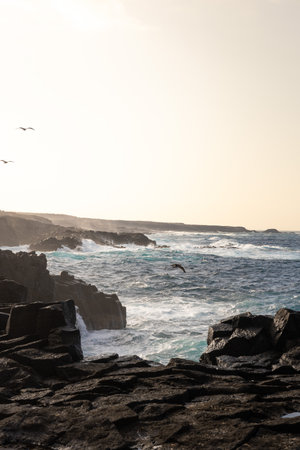 Landscape of ocean is brave and the sky is clear