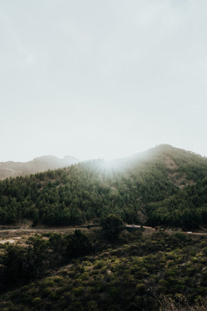 Sunlight breaks through mist over lush green mountains during early morningの写真素材