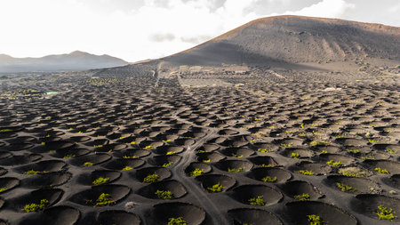 Drone view of Lanzarotes unique volcanic landscape with vineyard circlesの写真素材