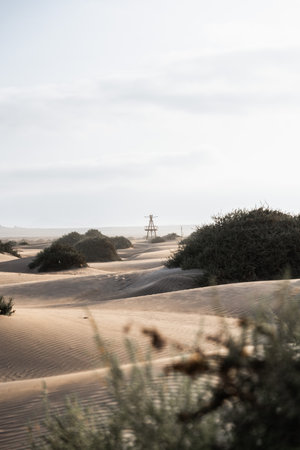 Dunes stretching across the landscape with a lone watchtower in the distance