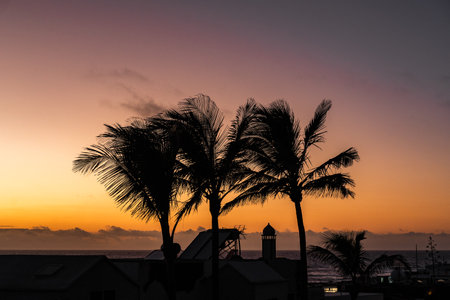 Beautiful sunset over the ocean with palm trees silhouetted on the shoreの写真素材