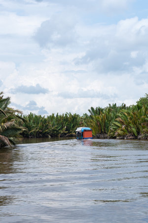 Tourist boat navigating calm waters through lush nipa palm forest in south kalimantanの写真素材