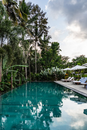 Infinity pool reflecting lush tropical vegetation in baliの写真素材