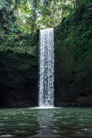 Tibumana waterfall cascading into a pristine jungle pool in bali, indonesiaの写真素材
