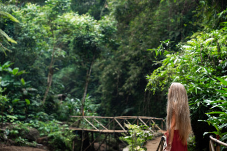 Tourist walking on wooden bridge in tropical forestの写真素材
