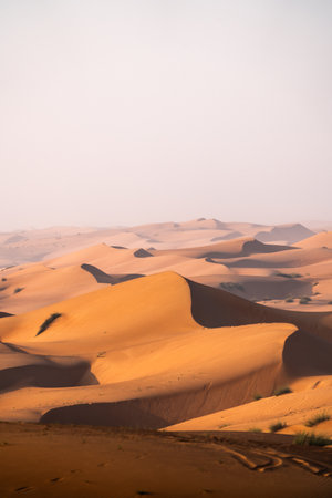 Wahiba sands desert dunes in oman with warm sunlightの写真素材