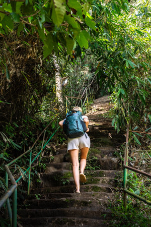 Woman hiking jungle stairs exploring nature path
