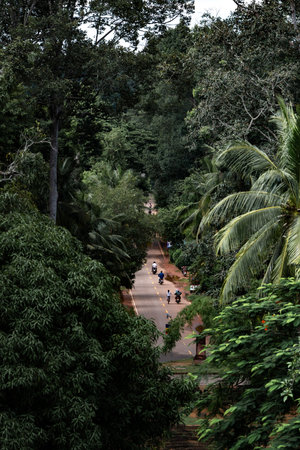 Motorcycles riding tropical forest road jungle treesの写真素材