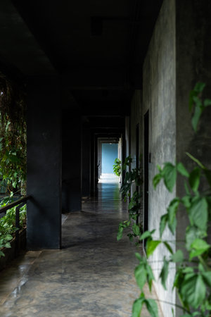 Modern concrete building hallway connecting to bright outdoor lightの写真素材