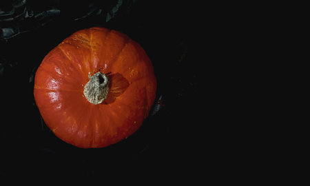Pumpkin on black background, top view, copy space.の写真素材