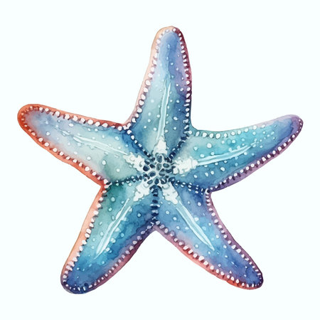 Watercolor starfish isolated on white background. Hand drawn illustration.の素材