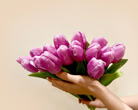 Pink tulips flowers bouquet in hands. Waiting for spring. Happy Easter, Mother's day.の写真素材
