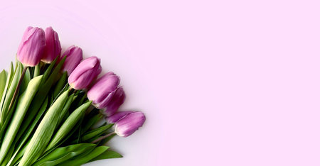 Pink tulips flowers bouquet on pink background. Waiting for spring. Happy Easter, Mother's day. Frame banner template with copy space.の写真素材