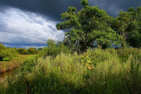 Summer landscape in central Russiaの写真素材