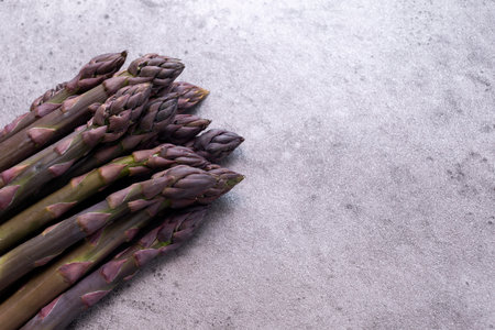 Flatly bunch of Purple Asparagus Plant On Gray Background, Fresh Organic Home Grown Green Vegetable, Bio food. Horizontal plane, Copy Space.の写真素材
