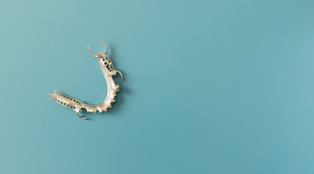 Metal Frame Lower Partial Denture, Cobalt Chrome Dental Plate, Bridge Printed By 3d Printer. On Blue Background. Flat Lay Mockup. Copy Space For Text. Horizontal. Dentistry, 3d Printed Dentureの写真素材