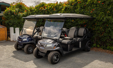 Two Golf Carts, Sporting Cars. Moto Electric Vehicles, Flowers, Green Bushes on Background....