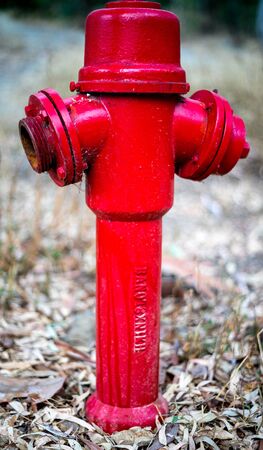Fire hydrant in the park