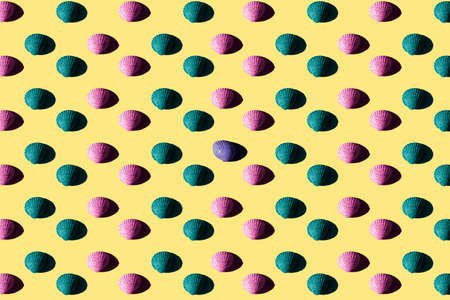 Seashells pattern on a yellow background. Summer vacation concept. Sea shells assortment. Top view