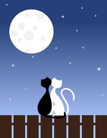 Two enamoured cats sit on a fence. のイラスト素材