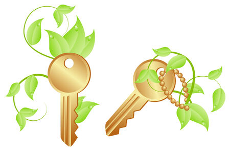 Two keys with growing plants. Isolated on a white. Vector illustrationのイラスト素材