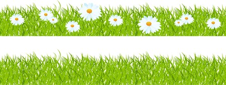 Seamless horizontal mount, grass with camomiles. のイラスト素材