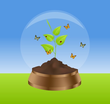 Green plant, butterflies and ladybirds in glass ball. Vector illustration.のイラスト素材