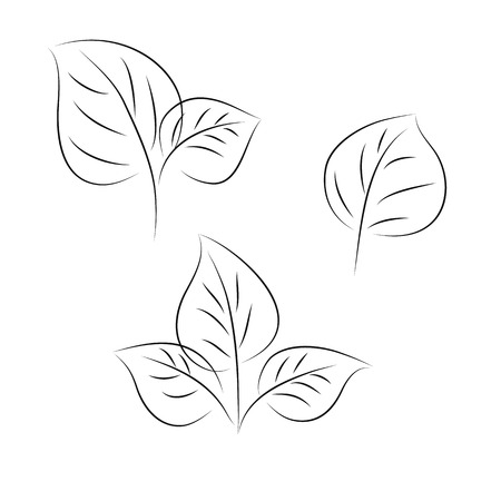 Sketch of leaves on a white. のイラスト素材