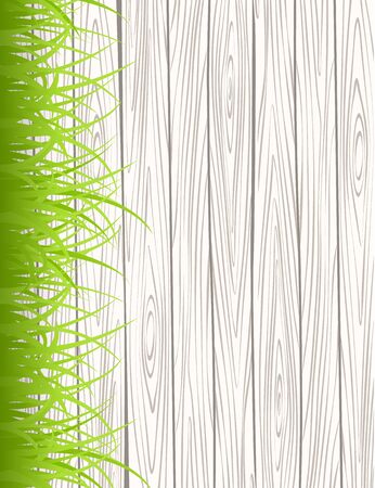 Wood wall with green grass. Vector illustration.のイラスト素材