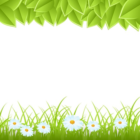 Green grass with flowers and leaves isolated on white background. Vector illustrationのイラスト素材