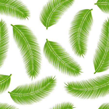 Leaves of palm tree on white background as a seamless. Vector illustration.のイラスト素材