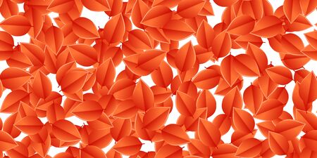 Green leaves autumnの写真素材